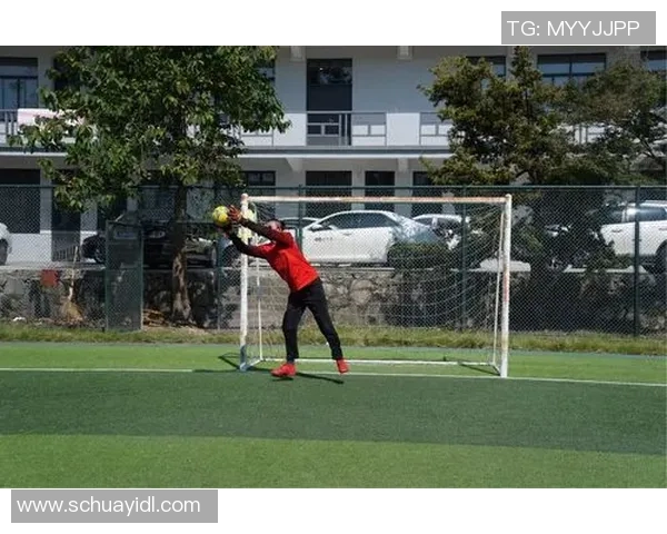 人类战斗足球3D：激情对抗与策略碰撞的全新竞技体验