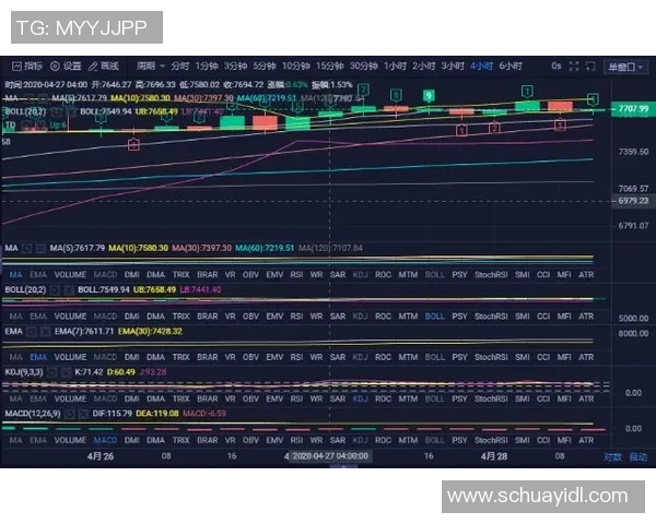 足球围网报价分析及市场趋势解读助您选择合适产品