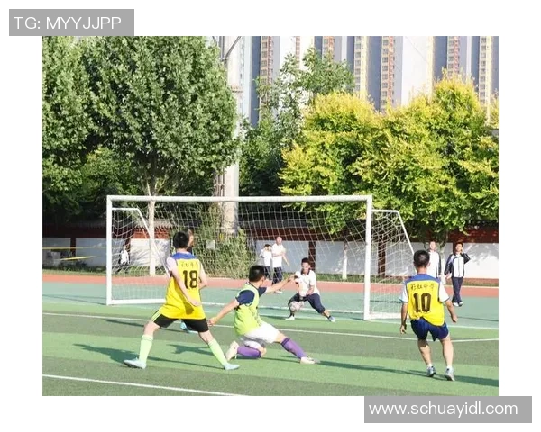 辛巴在绿茵场上展现足球风采与团队精神的精彩瞬间